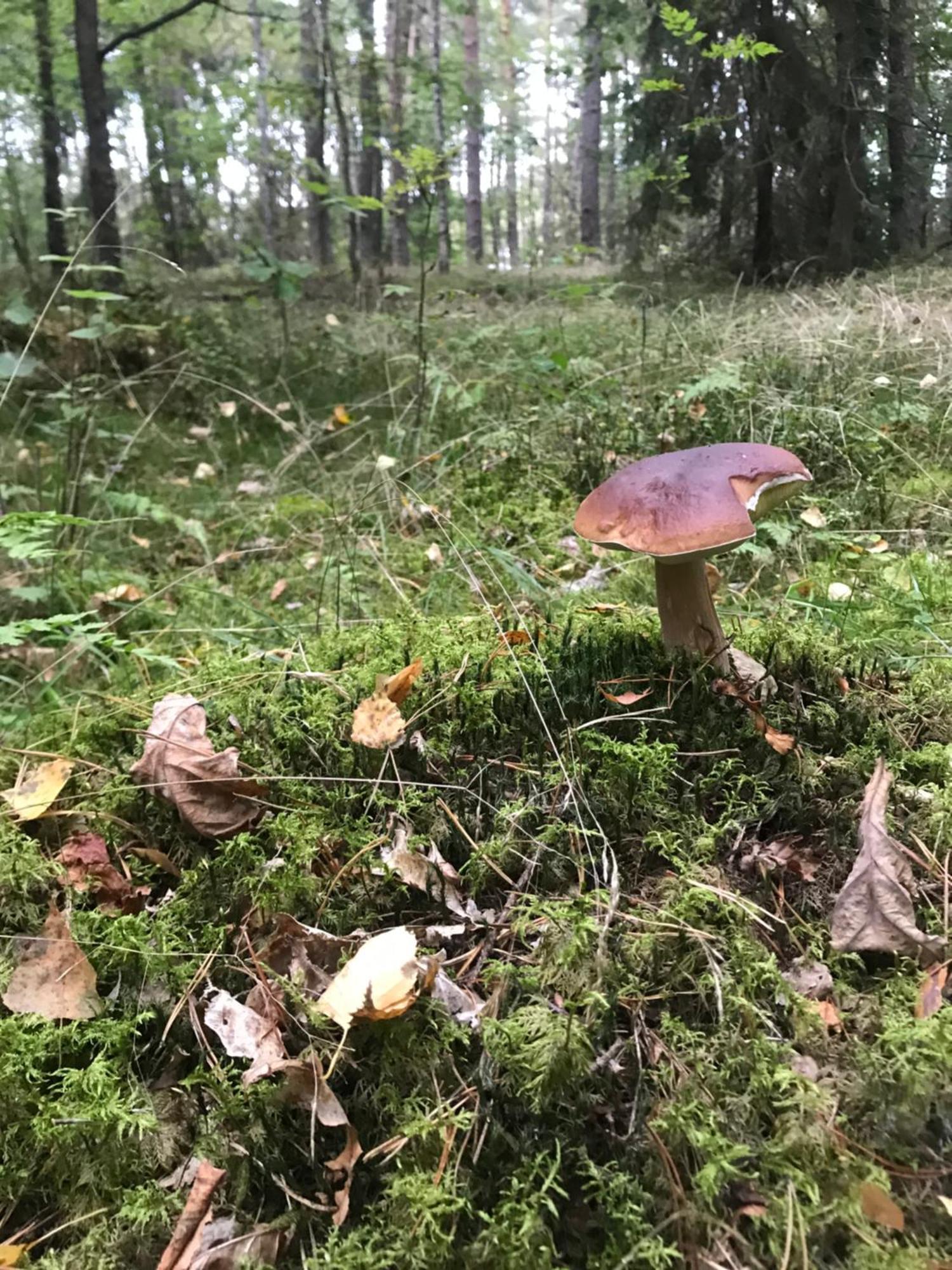 Gapkowo Stare Kiejkuty Exterior foto